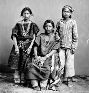 Navajo-vrouw met kinderen