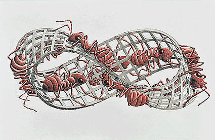 Tekening van Escher van de Möbiusband - Handwerkwereld