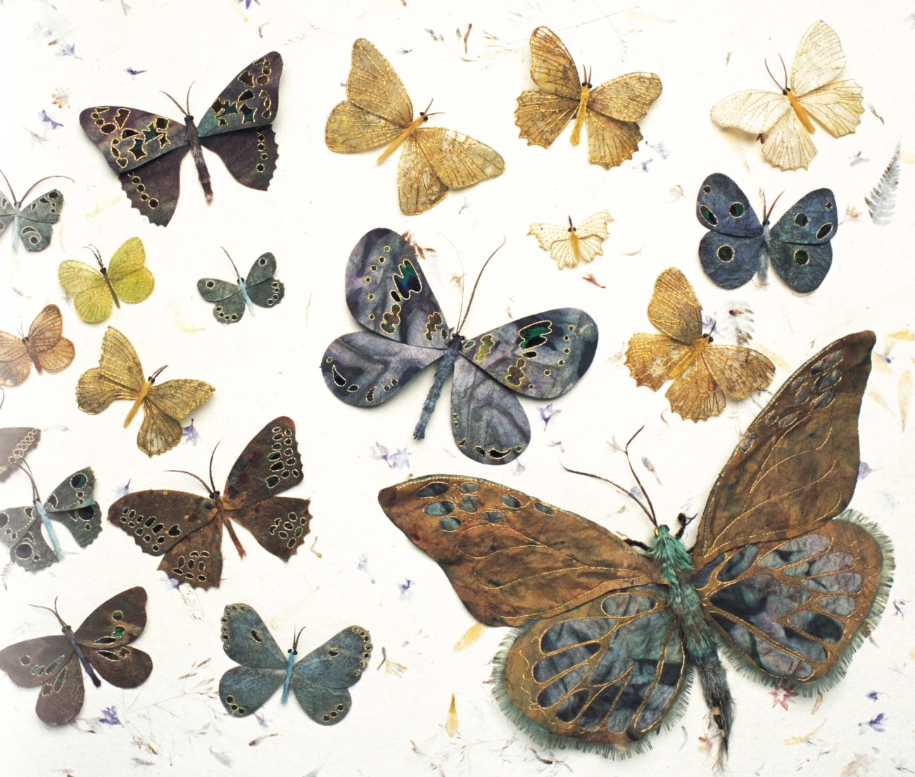 Jane Hall vlinders - Handwerkwereld